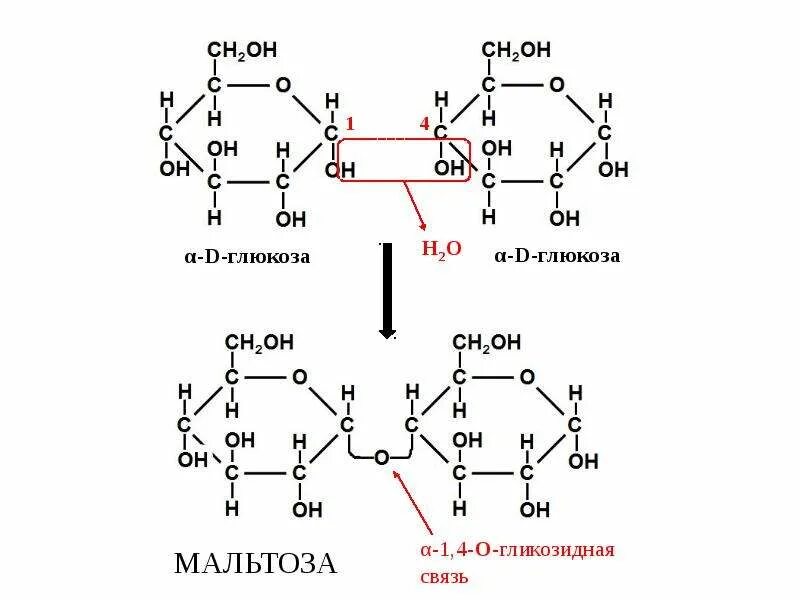 Альфа и бета 1 4 гликозидная связь. 1-4 Гликозидная связь Глюкоза. 1,4 Α-гликозидная связь. Альфа 1 2 гликозидная связь.