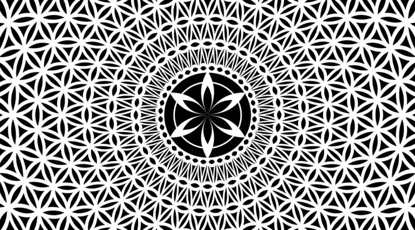 Паттерны жизни. Геометрический орнамент. сакральная геометрия. орнамент цветок жизни. геометрические паттерны.