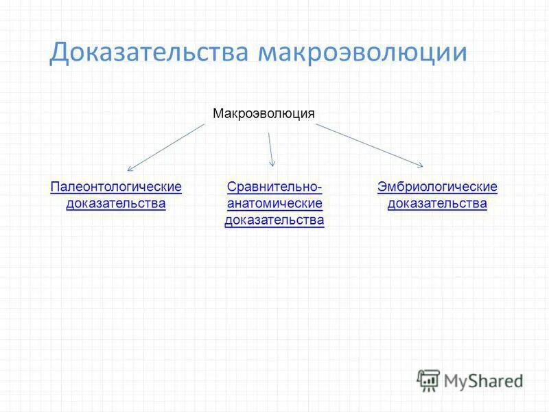 Основные методы изучения макроэволюции. Доказательства эволюции макроэволюции кратко таблица. Микроэволюция Макроэволюция доказательства эволюции. Направления макроэволюции схема. Тема микроэволюция и макроэволюция