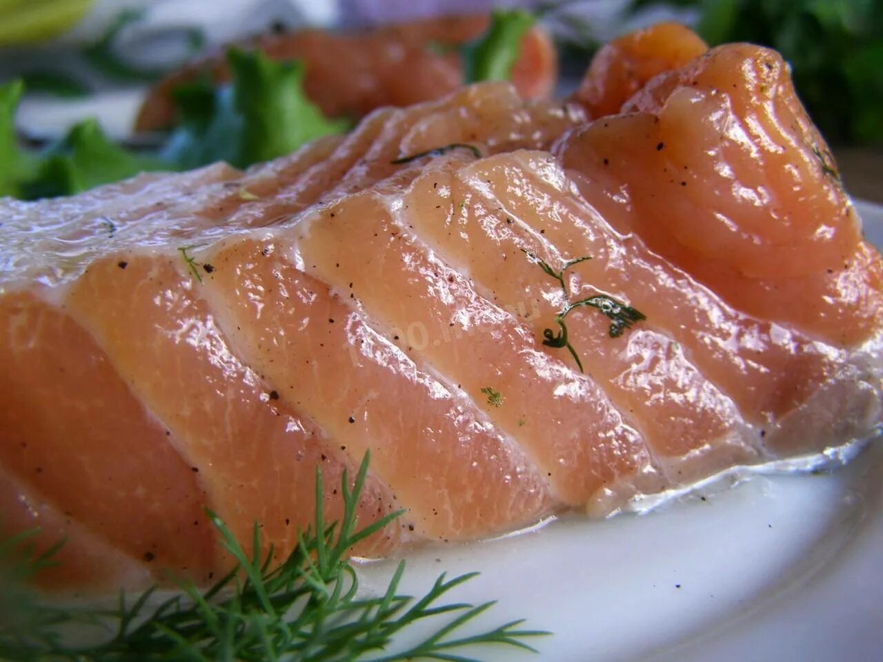 Засолить семгу вкусный рецепт. Рыба Балтийский лосось. Лосось малосольный. Брюшки лосося слабосоленые. Засолка лосося.