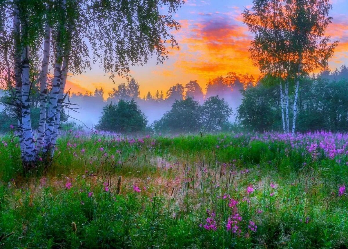 Стих раннее утро. Красота русской природы. Пейзажи России. Летний пейзаж. Красивая русская природа.