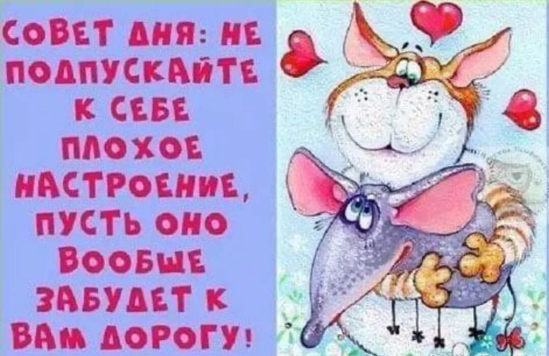 Доброе картинки прикольные смешные с надписью. Смешные картинки с добрым утром. Открытки смешные с добрым утром с надписями. С добрым утром прикольные смешные с надписями. Доброе утро смешные картинки с надписями.
