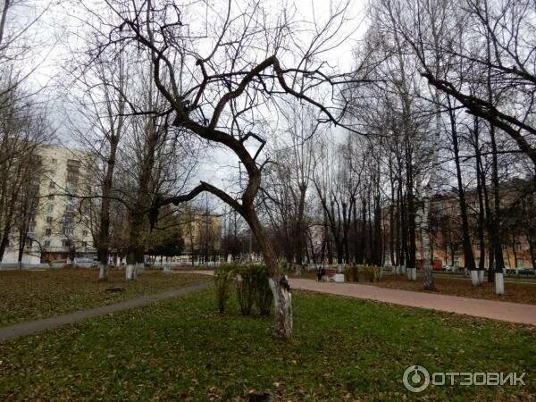 Песня не покинешь этот сквер. Климовицкий сквер ярославль. дмитровский сквер ярославль.