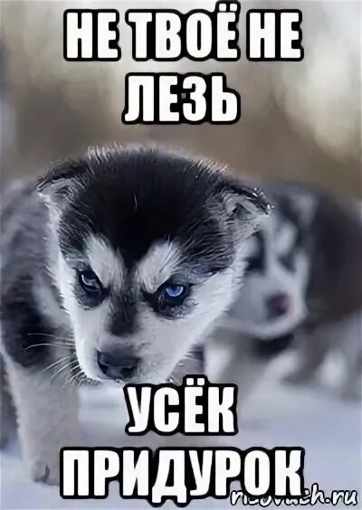 обои не влезай. не лазь в моём телефоне. не лезь в мой телефон. обои с надписью не трогай меня. надпись не трогай мой телефон.