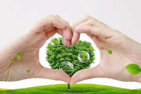 Take care of the environment