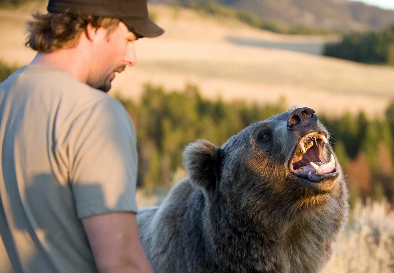 He can t bear. Кейси Андерсон и медведь Гризли брут. Кейси Андерсон. Кейси и медведь Гризли. Медведь и человек.