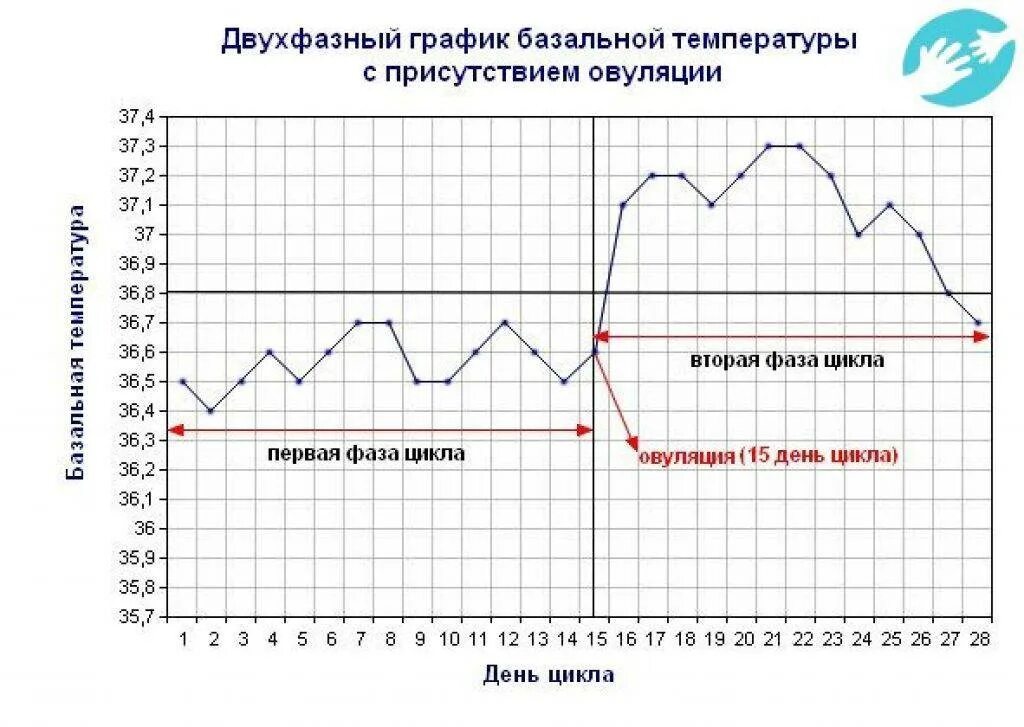 Поднимается температура перед. График базальной температуры с овуляцией. Овуляция измерение базальной температуры график. Измерение ректальной температуры для определения овуляции график. График БТ при беременности с овуляцией.