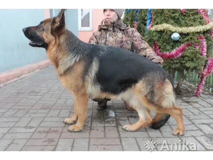 Ең жақсы порно сайттардың гигабайттары