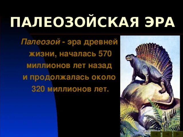 Палеозойская эра биология 9 класс. Палеозойская Эра. Палеозой периоды. Пермский период палеозойской эры. Жизнь в палеозойскую эру.