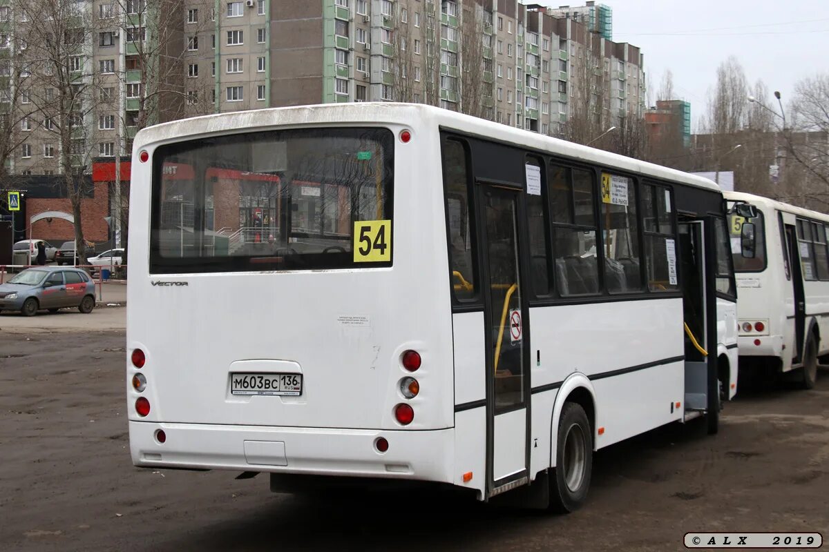 Паз 320412 вектор. ПАЗ-320412-05 вектор. ПАЗ 320412. ПАЗ 320412-05 М. ПАЗ 320412 "вектор" Воронеж.