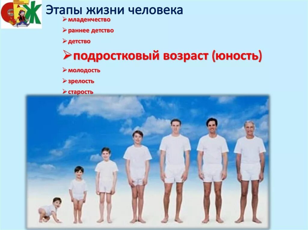 Какие стадии проходит человек. Этапы жизни человека. стадии жизни человека. стадии жизнич человека. этапы человеческой жизни.