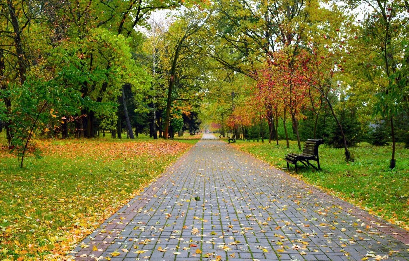Бульвар в осенних листьях