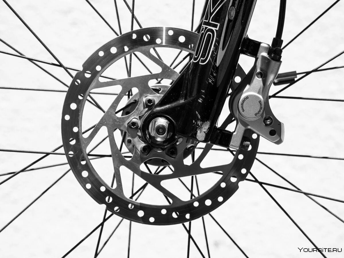 Какое заднее колесо поставить на велосипед. Барабанные роллерные тормоза велосипеда. Колесо 24" (MTB) заднее под дисковый тормоз. Дисковые тормоза на велосипед. Передний дисковый тормоз на велосипеде.