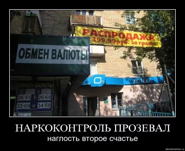 Наглость это. Наркоконтроль приколы. наглость сестра таланта. наглость второе счастье. цитаты про наглость и нахальство.