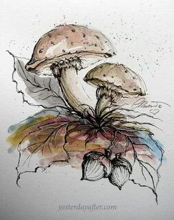 Рисуем грибы акварелью