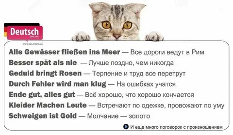 Немецкие афоризмы