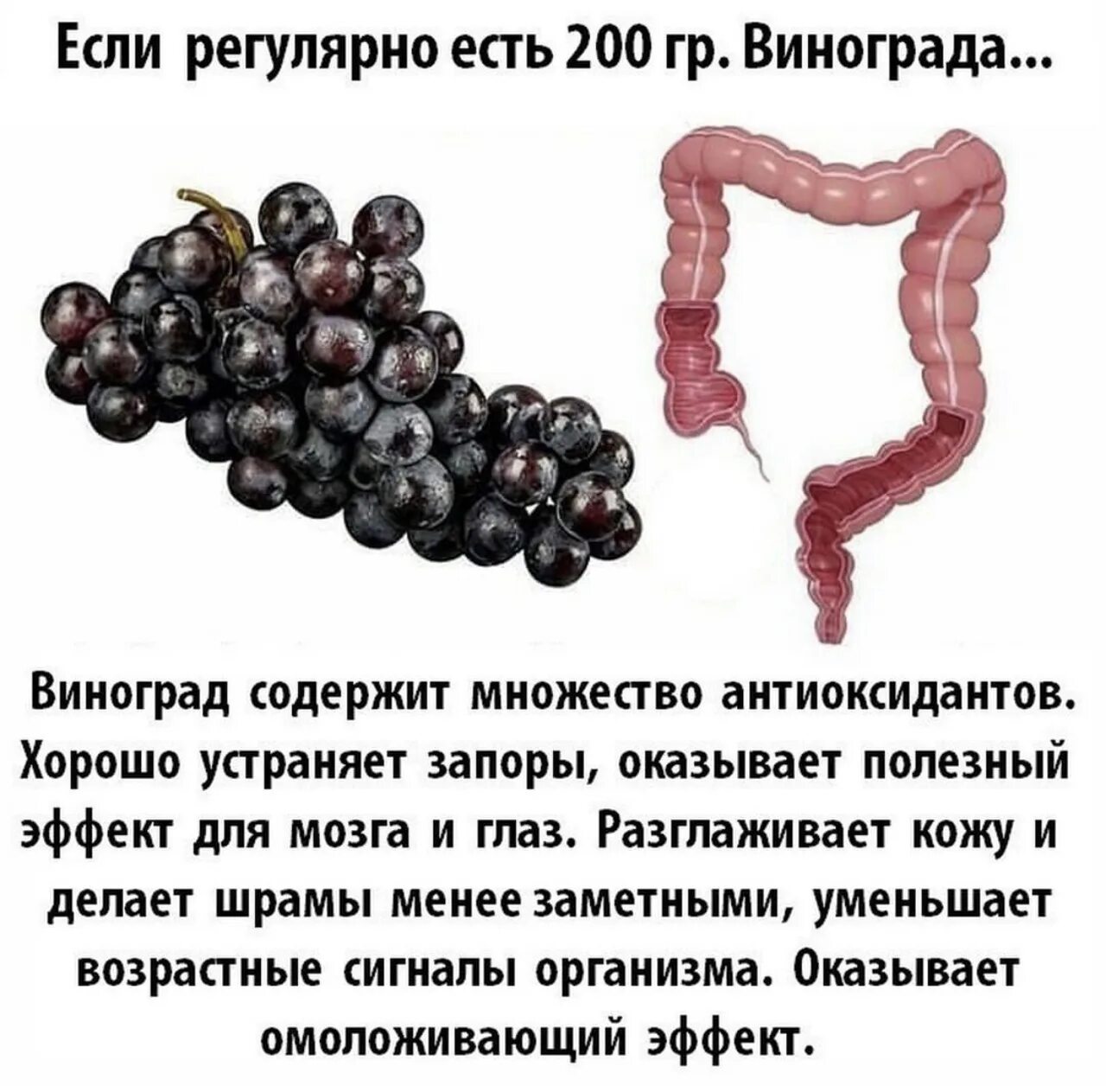 Какого витамина больше всего в винограде. Чем полезен виноград. Чем полезен виноград для организма. Что полезного в винограде. Виноград польза.