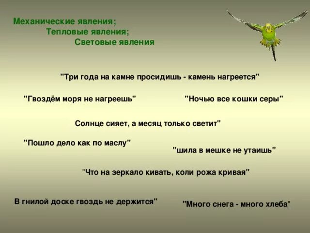 Шкала чс. Пословицы о природе. Поговорки о природных явлениях. Загадки про явления природы для детей. Шкала чс.