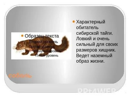 Типичный обитатель