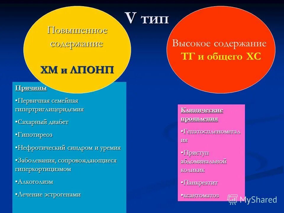 высокий тип