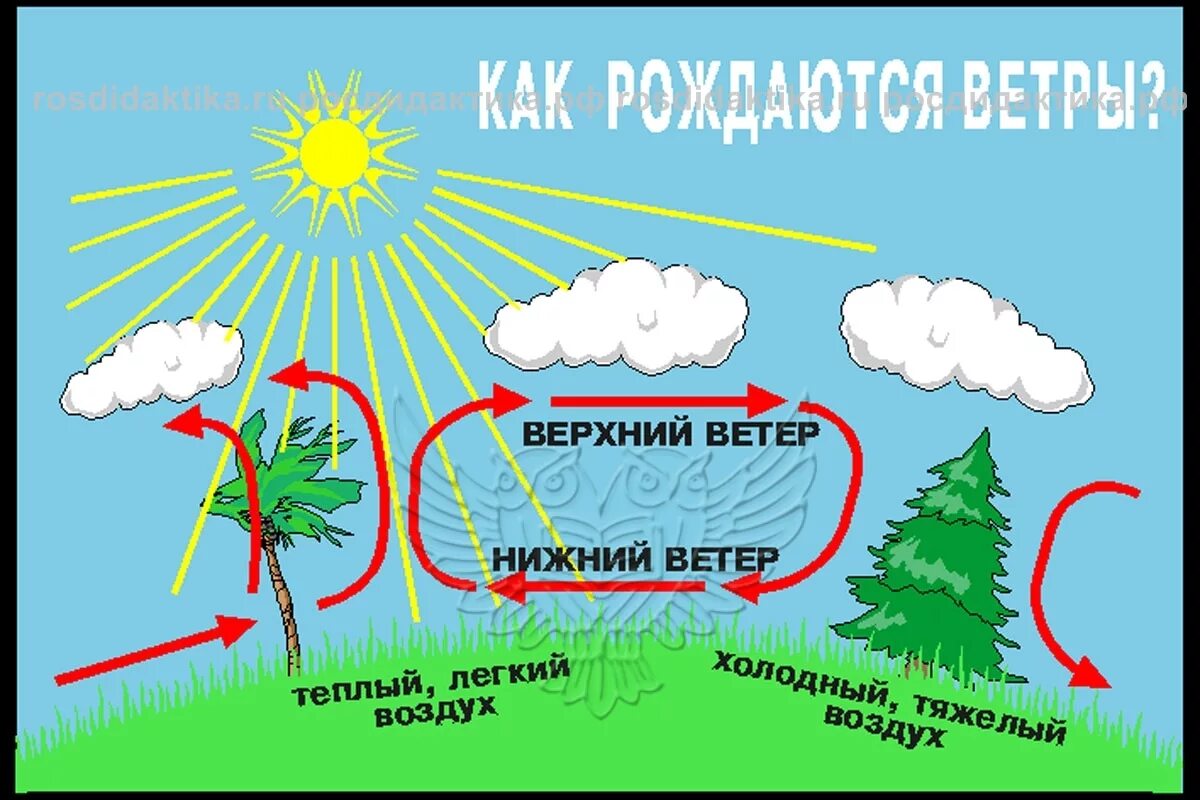 Воздух которым мы дышим. Ветер схема. Схема образования ветра. Воздух, которым мы дышим состоит из …. Теплый воздух ветер