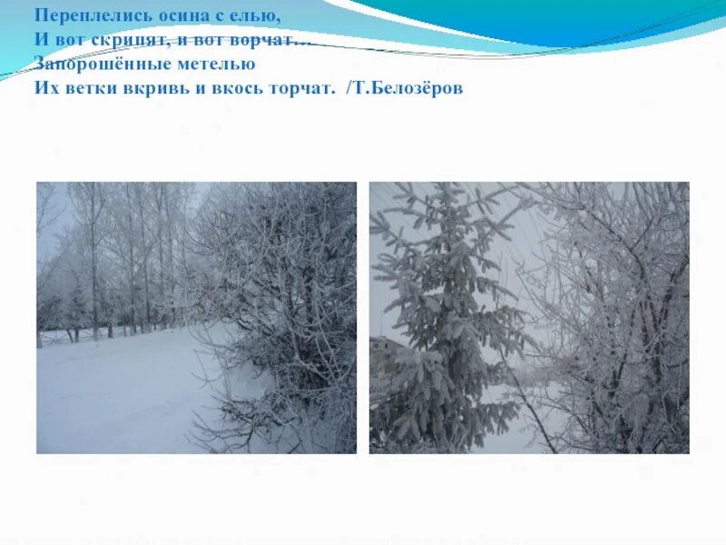 Белозёров позёмки. Т Белозеров из поземки ветерок. Т Белозеров Пурга. Т Белозеров из поземки ветерок свил серебряный шнурок. Считалка т белозерова