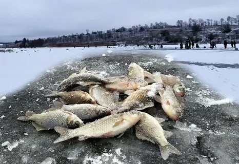 Рыбалка на карася со льда