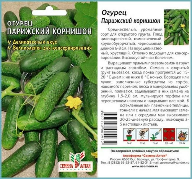 Какие семена огурцов купить для открытого грунта. Огурец сорт Парижский корнишон. Огурец корнишон f1 семена. Огурец Парижский корнишон (0,5г) семена Алтая.