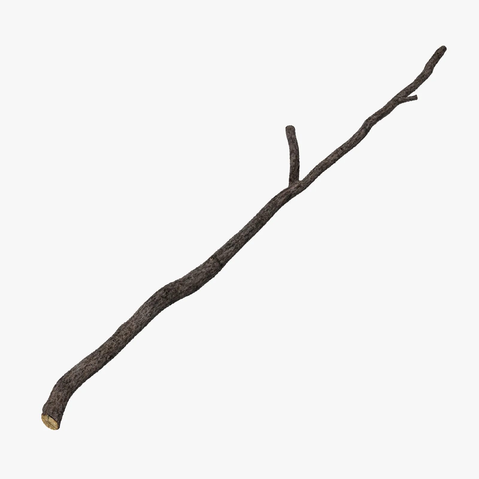 Тонкая ветка. Деревянная палка на прозрачном фоне. Сухая палка. Сухая ветка дерева. Сухая палка.