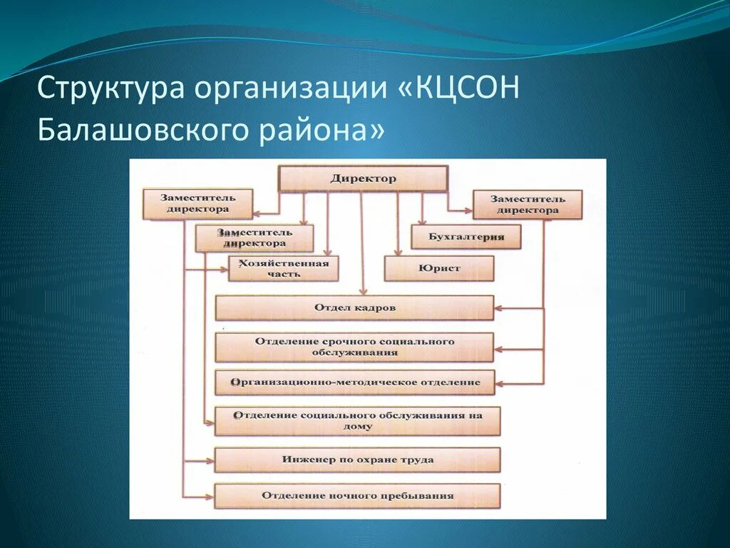 Состав социальных учреждений. Структура комплексного центра социального обслуживания населения. Центр социального обслуживания населения организационная структура. Организационная структура КЦСОН. Структура социального учреждения.