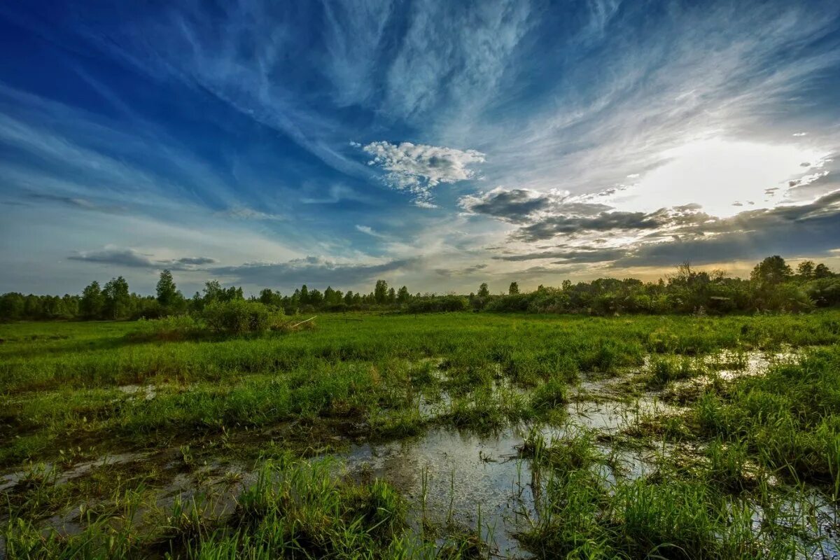 Шишков угрюм река иллюстрации. Угрюмый фильм 1998. Угрюм-река сериал 2021 анфиса. Угрюм-река сериал 15 серия. Парень в тумане.