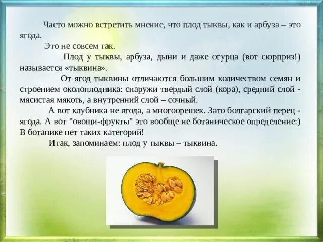 Выбери тыквины. Признаки семейства тыквенные. Выбери тыквины. Выбери тыквины. Тыквина плод схема.