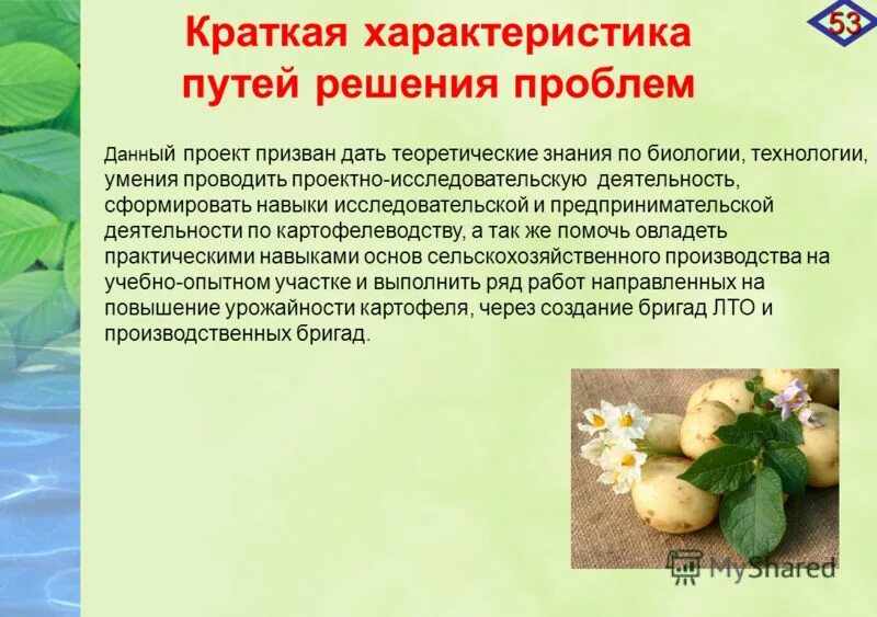 Отрасли сельского хозяйства. Специфика сельскохозяйственного производства. Специфика сельского хозяйства. Специфика сельскохозяйственного производства. Специфика сельскохозяйственного производства.