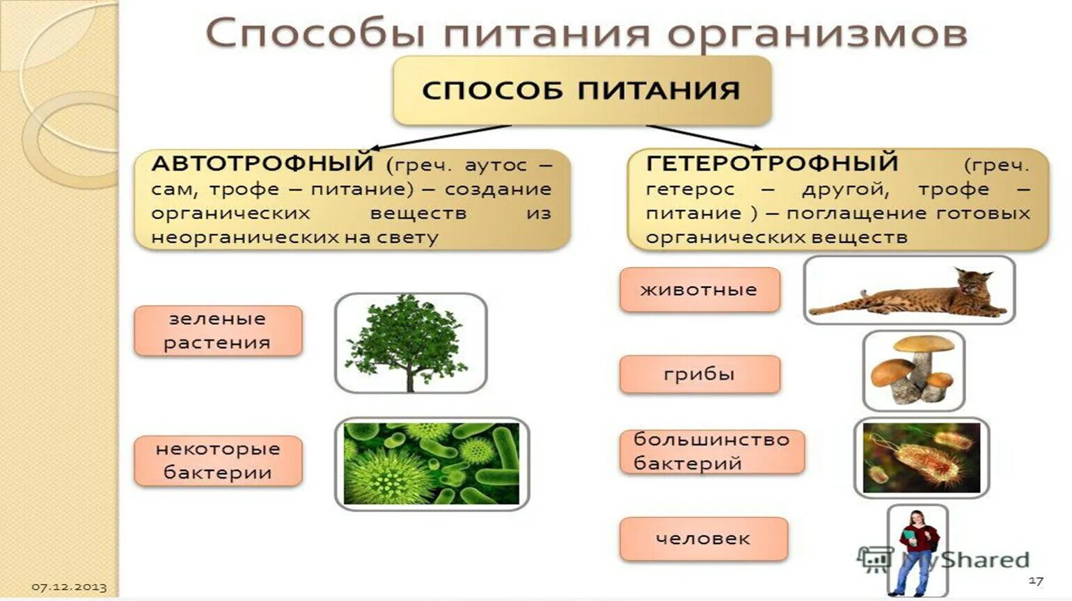 Какие различают по способу питания. Схема типы питания клеток. Типы питания организмов схема. Типы питания организмов таблица 10 класс биология. Питание клетки схема.