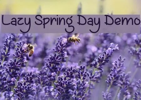 Spring demo