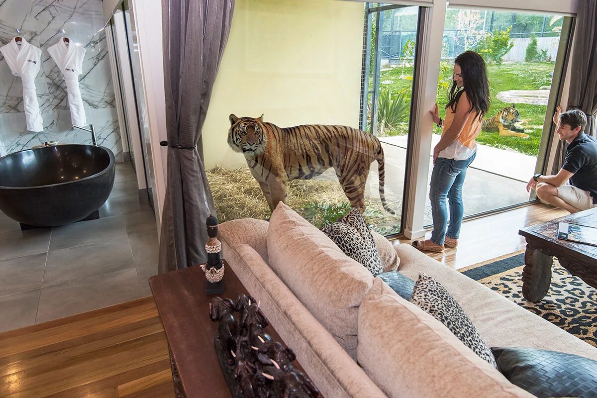 Jamala Wildlife Lodge. Jamala Wildlife Lodge - необычный отель зоопарк. Отель с животными сафари. Отель в Австралии с жирафами. Гостиницы с зоопарком