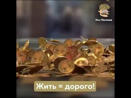 Живи дорогой живи