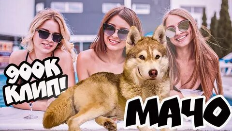 Песня мачо