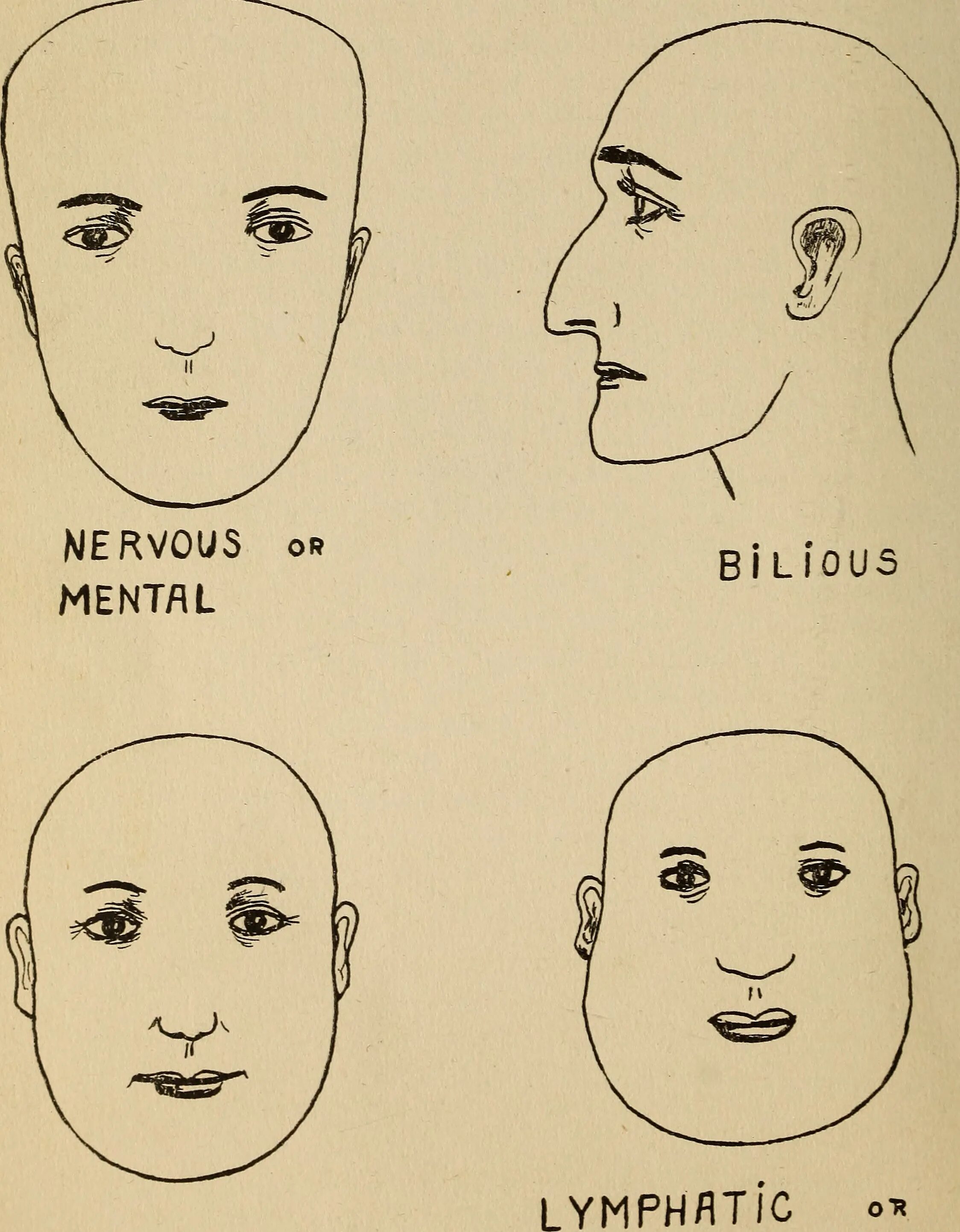 Физиогномика. Physiognomy examples. Physiognomy quotations. Physiognomy Romania.