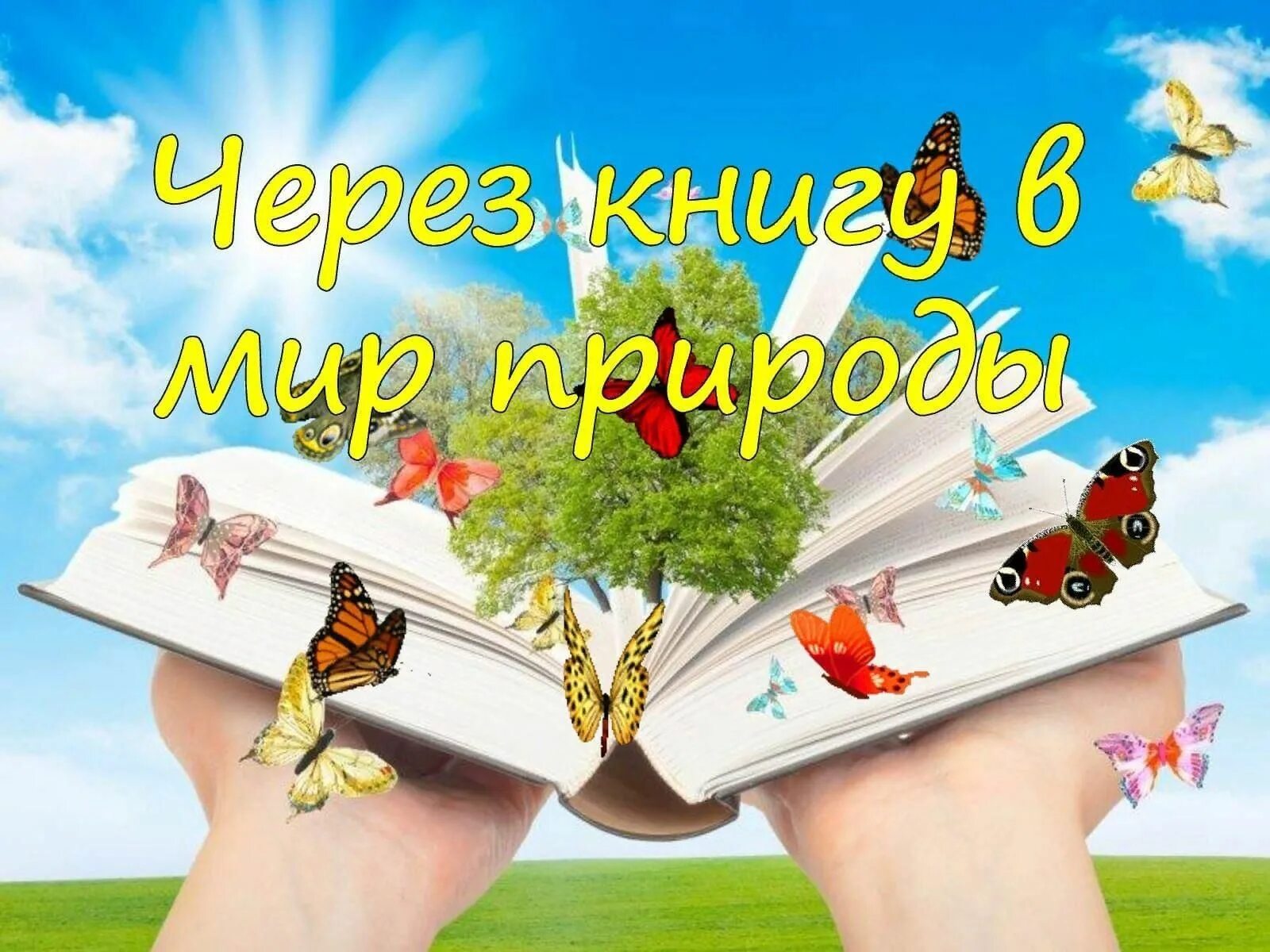 Через книгу в мир природы. Заголовок через книгу в мир природы. Выставка через книгу в мир природы. Через книгу в мир природы книжная выставка в библиотеке. Информация через книгу