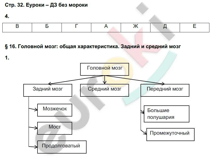 Биология 8 класс рабочая тетрадь жемчугова. Рабочая тетрадь по биологии 8 класс Романова. Гдз по биологии 8 класс рабочая тетрадь Романова. Биология 8 класс Жемчугова. Биология 8 класс Жемчугова темы.