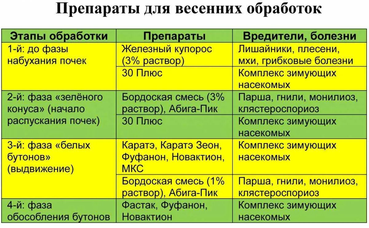 Весеннее удобрение для плодовых деревьев и кустов. Схема внесения удобрения плодовых деревьев и кустарников. весенние подкормки плодовых деревьев и кустарников таблица. график удобрений плодовых деревьев. таблица весенних подкормок.
