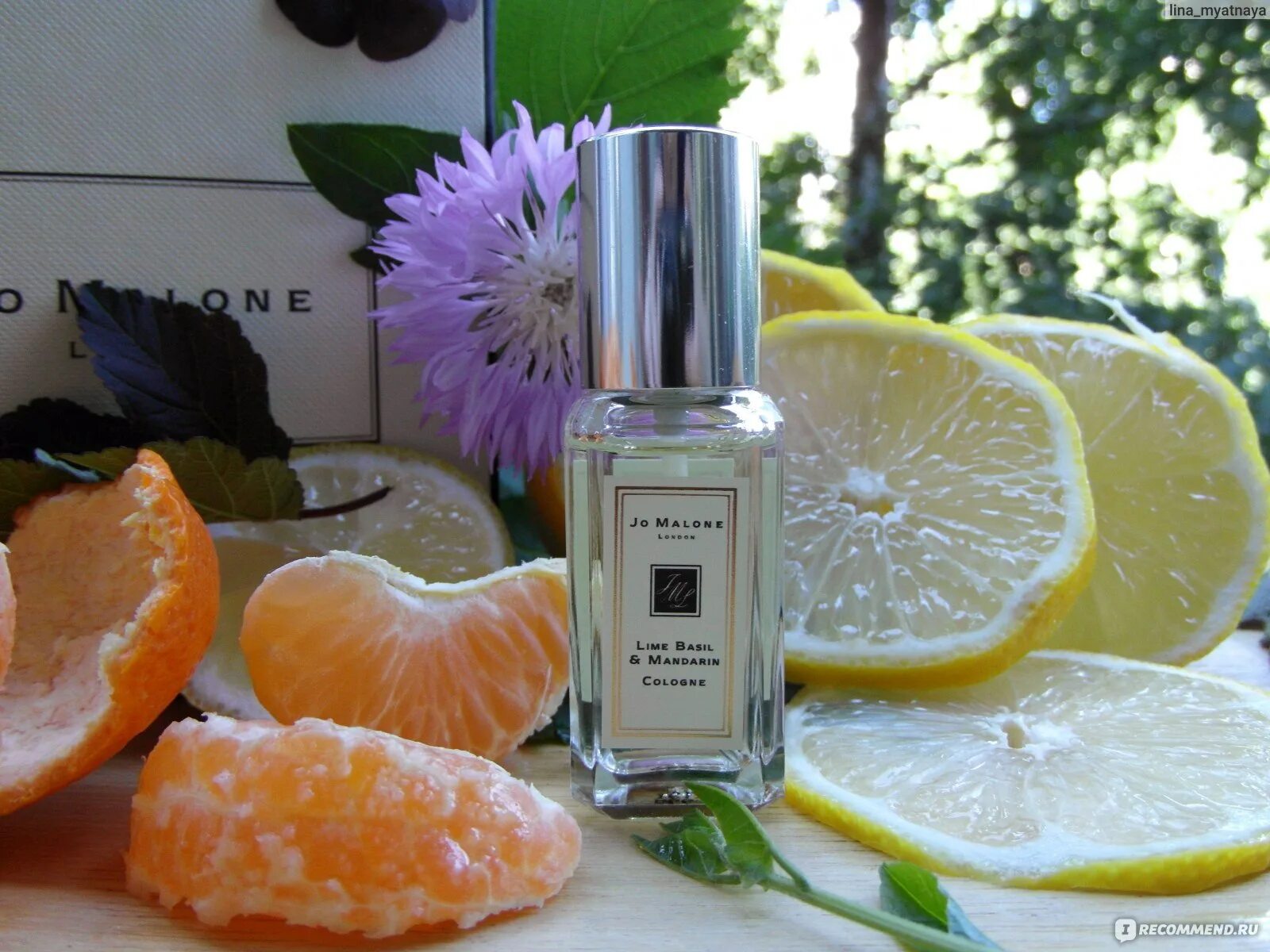 Духи Lime Basil Mandarin. Духи Джо Малон женские мандарин. Парфюм Jo Malone - Lime Basil🌿 & Mandarin. Малон лайм Базил мандарин 9 мл. Лайм базилик мандарин