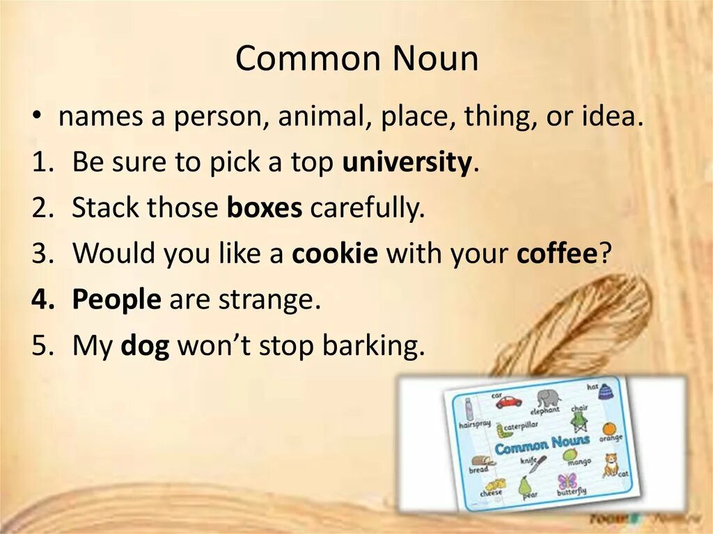 Noun thing. Noun person Noun thing celebrate. Noun idea. Person noun