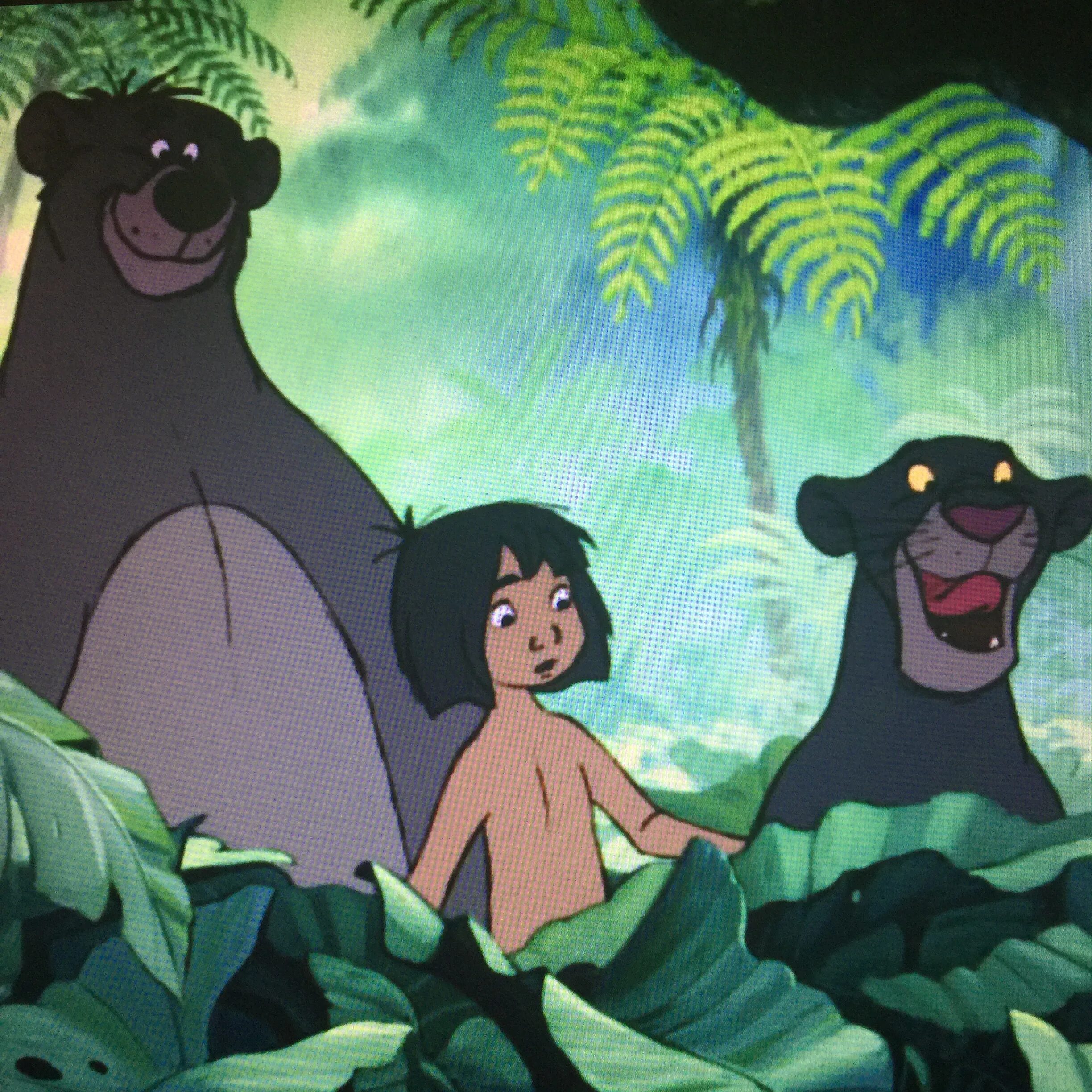 Мои любимые герои мультфильмов шрек пумба маугли. Маугли Дисней 1967. Маугли балу и Багира.