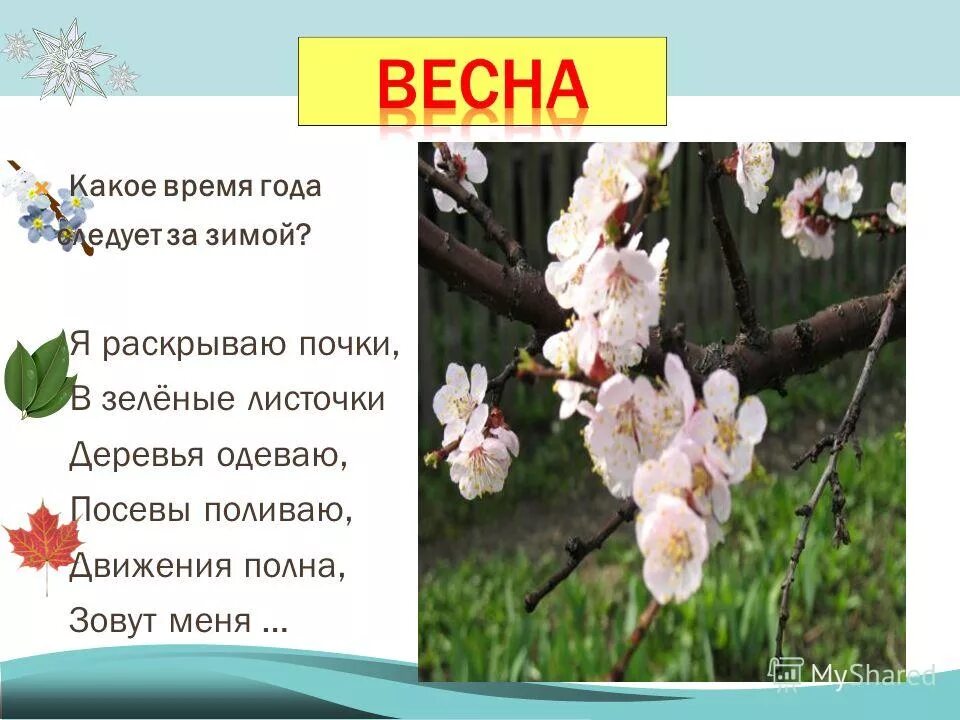 Какие дни весной ответ. Загадки про весну. Весенние загадки. Загадки на весеннюю тему. Закатки пра весну.