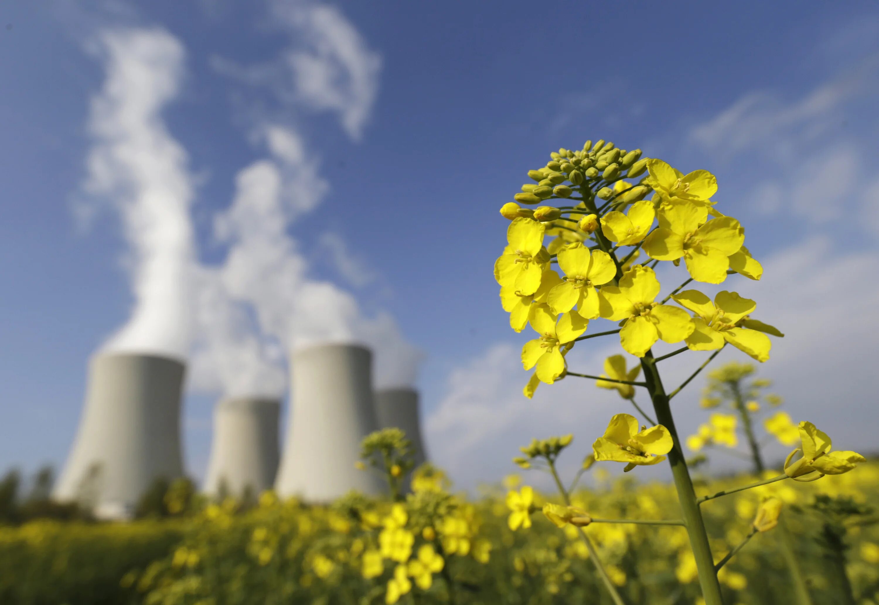 Ядерная энергия. Атомная Энергетика и экология. Чехия экология. АЭС зеленая Энергетика.