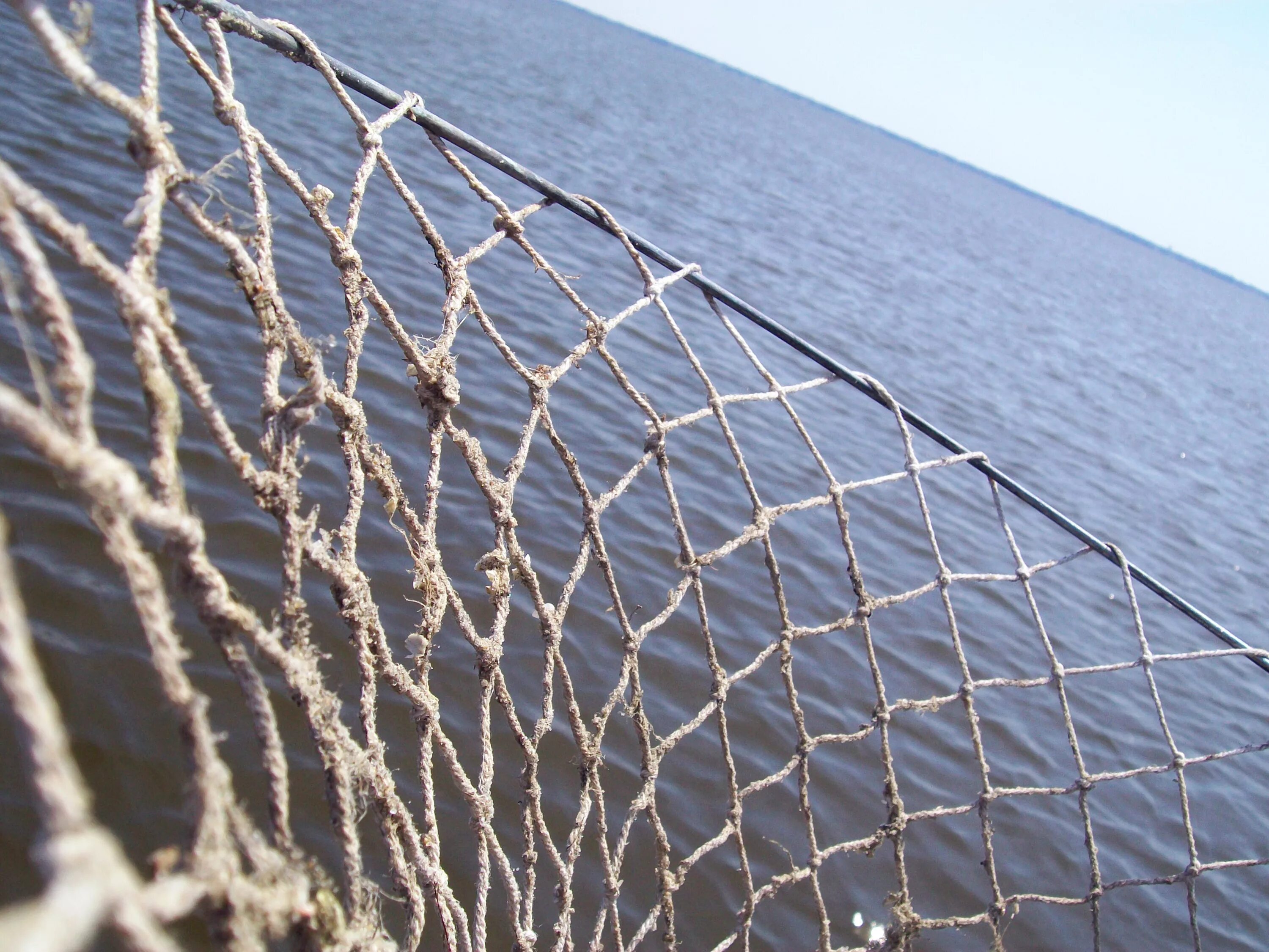 Сетка рыболовная. Рыбацкая сетка. Рыболовные сети в море. Рыба в сети.