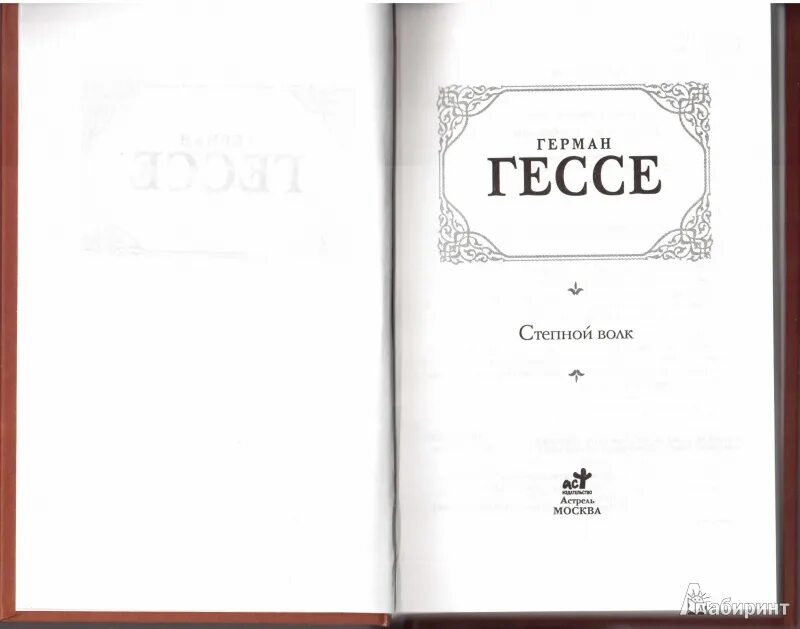 Гессе волк читать. Книга Германа Гессе «Степной волк».