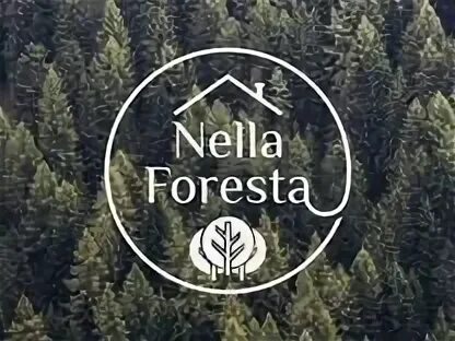 Нелла фореста ресторан. Nella foresta ресторан москва. Лес ресторан москва. Nella foresta москва. Рестораны мытищи.
